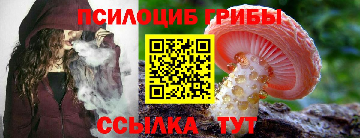 Псилоцибиновые грибы мицелий Кувандык